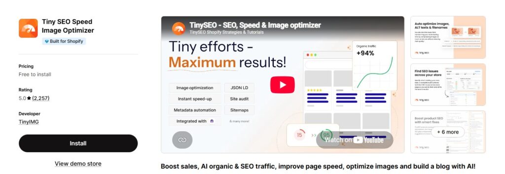 tiny seo app store dashboard